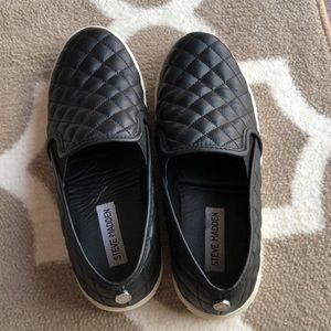 Steve Madden Ecentrcq Sneakers